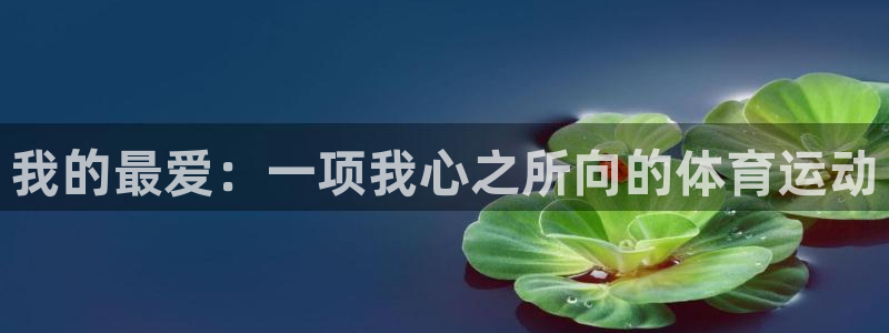 意昂3代理注册官网入口