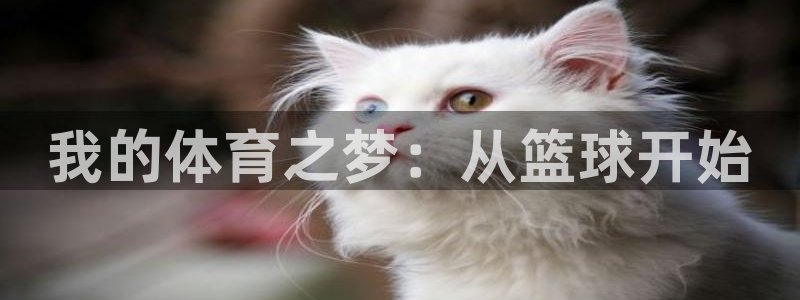 意昂3体育注册平台