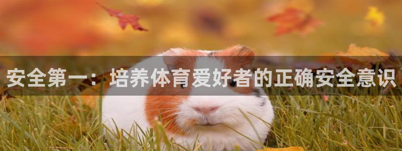 意昂34官网