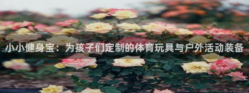 意昂3体育3