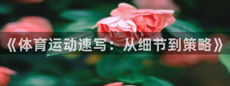 意昂3集团总部