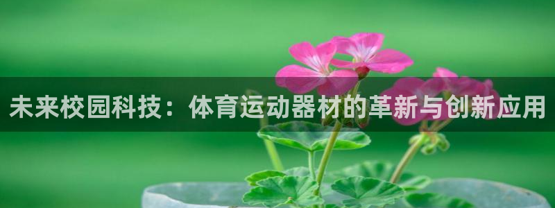 意昂3体育凯捷平台主管