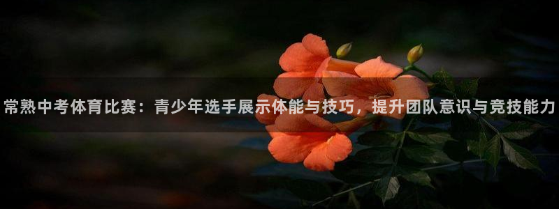 意昂32代理注册
