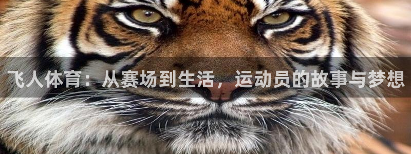 意昂3登录