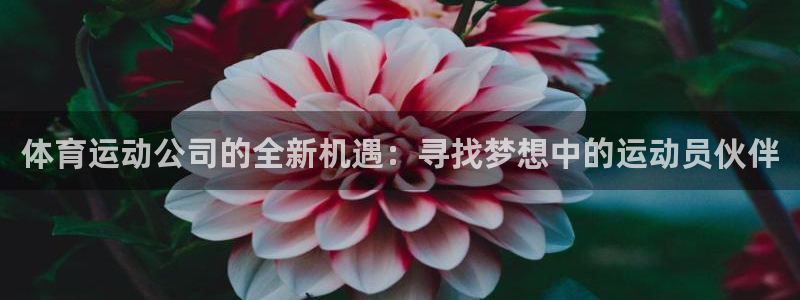 意昂3体育凯捷平台主管